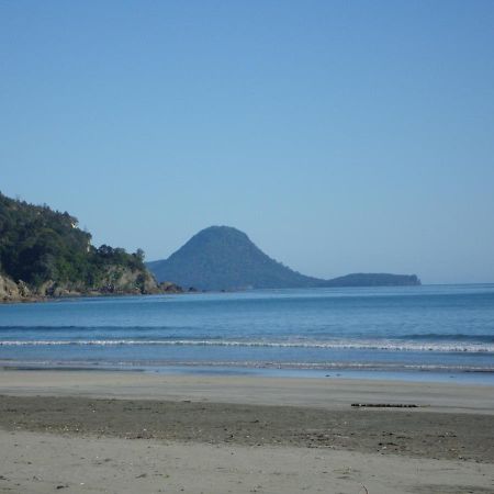 Beachfront Bliss Ohope Dış mekan fotoğraf