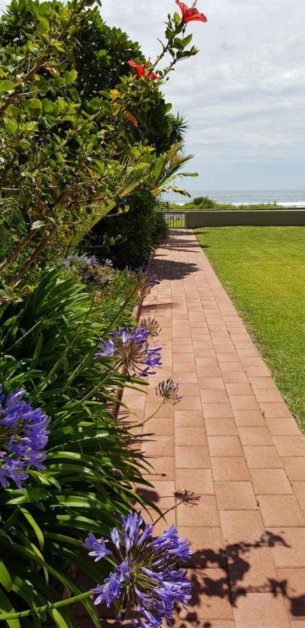 Beachfront Bliss Ohope Dış mekan fotoğraf